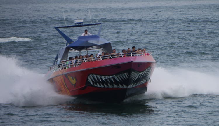It's fun, loud, and ya go fast. Boston By Boat Harbor Cruises Islands And Whale Watching Lonely Planet