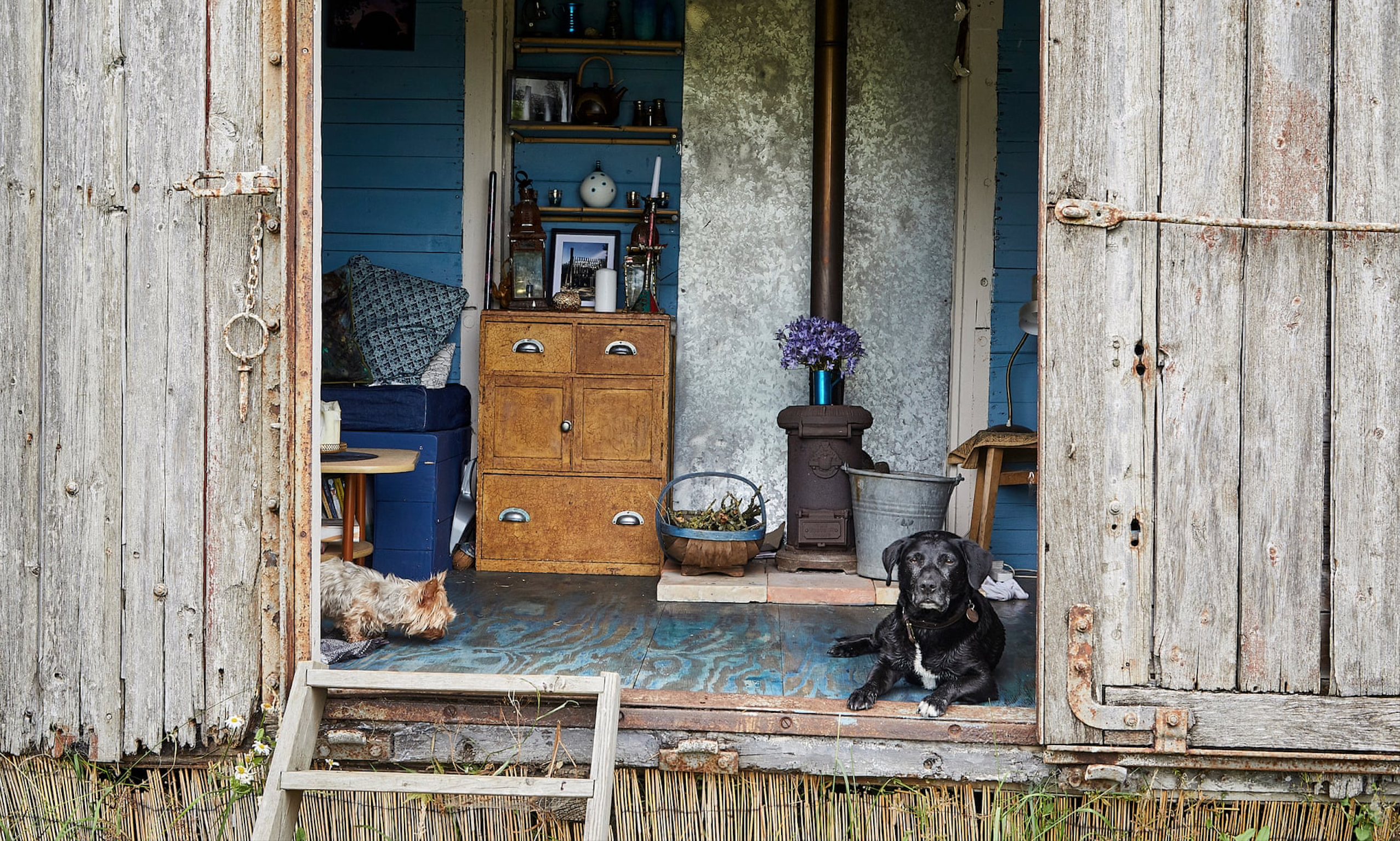 Hope's christmas tree farm and market (1).png . Stay In Cabins On Walnut Tree Farm Previously Owned By Nature Writer Roger Deakin Lonely Planet