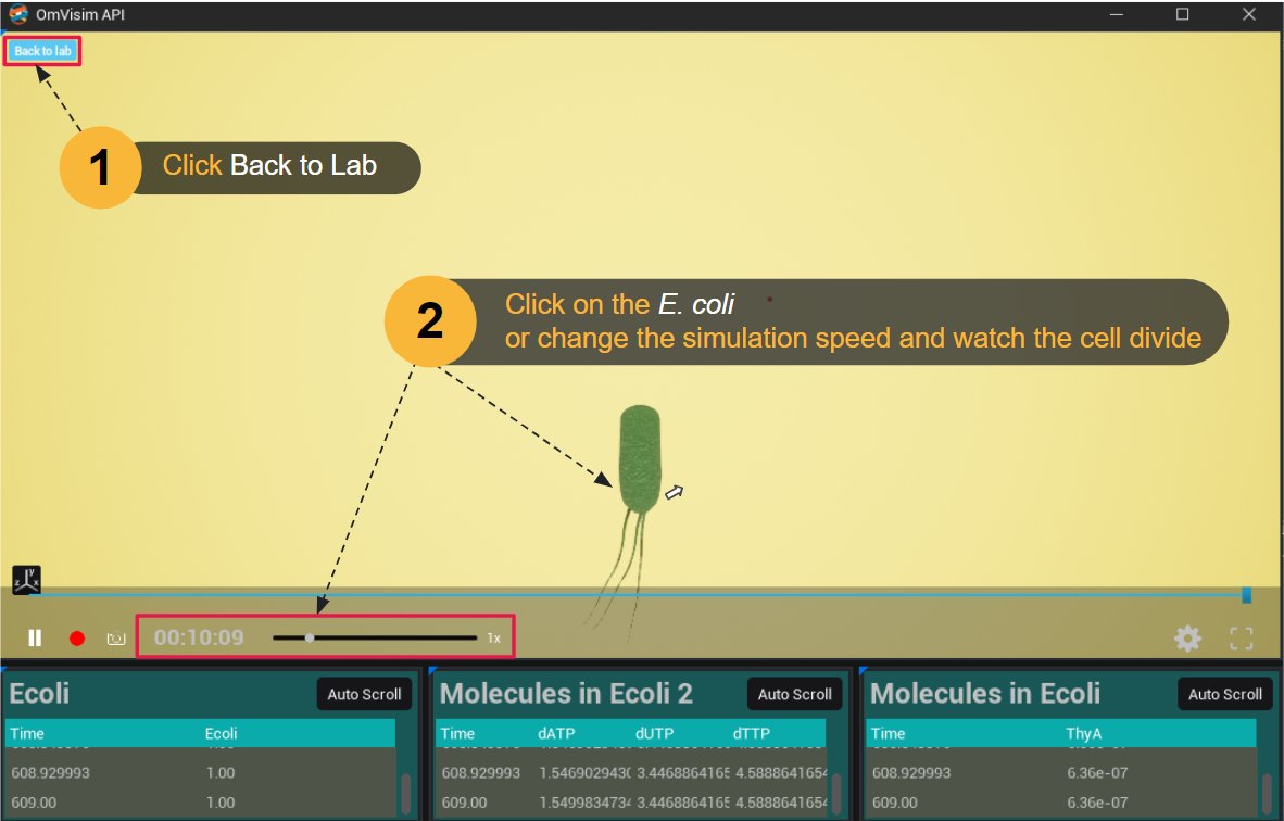 Tutorials