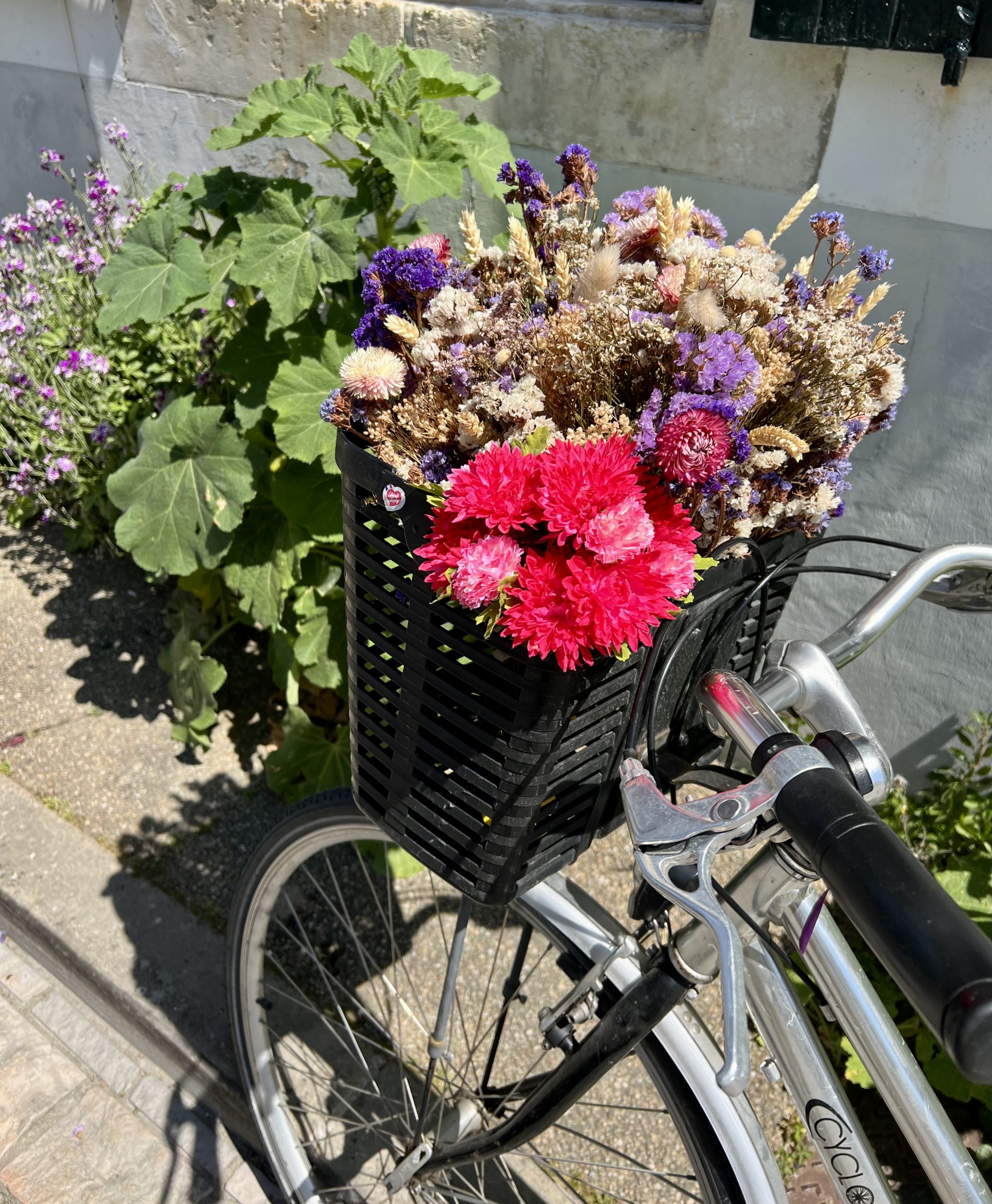 Fleur vélo l'R de Ré