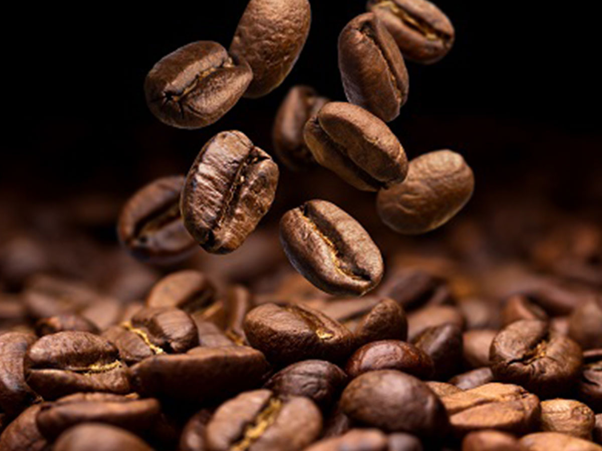 Specialty Java Coffee Product Image