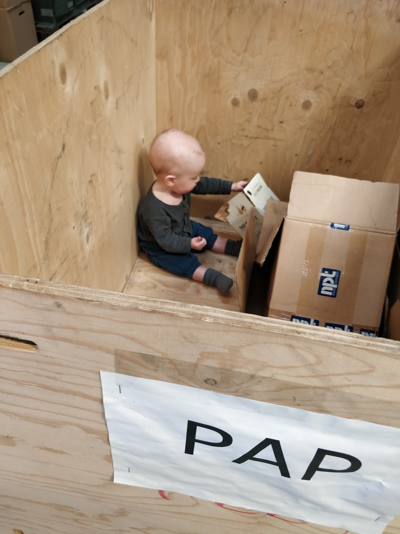 Baby thor i en papcontainer