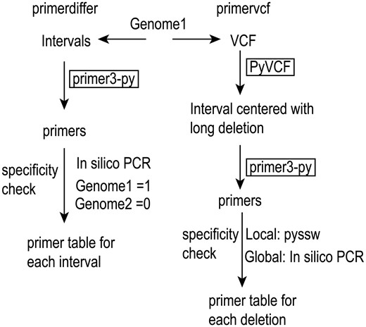 Github Lrslab Zebrafish Multisequencing The Scripts Used In - 4K Abstract Backgrounds for Desktop
