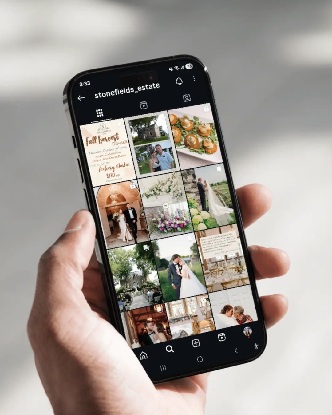 Stonefields Estate Instagram feed shown on a phone
