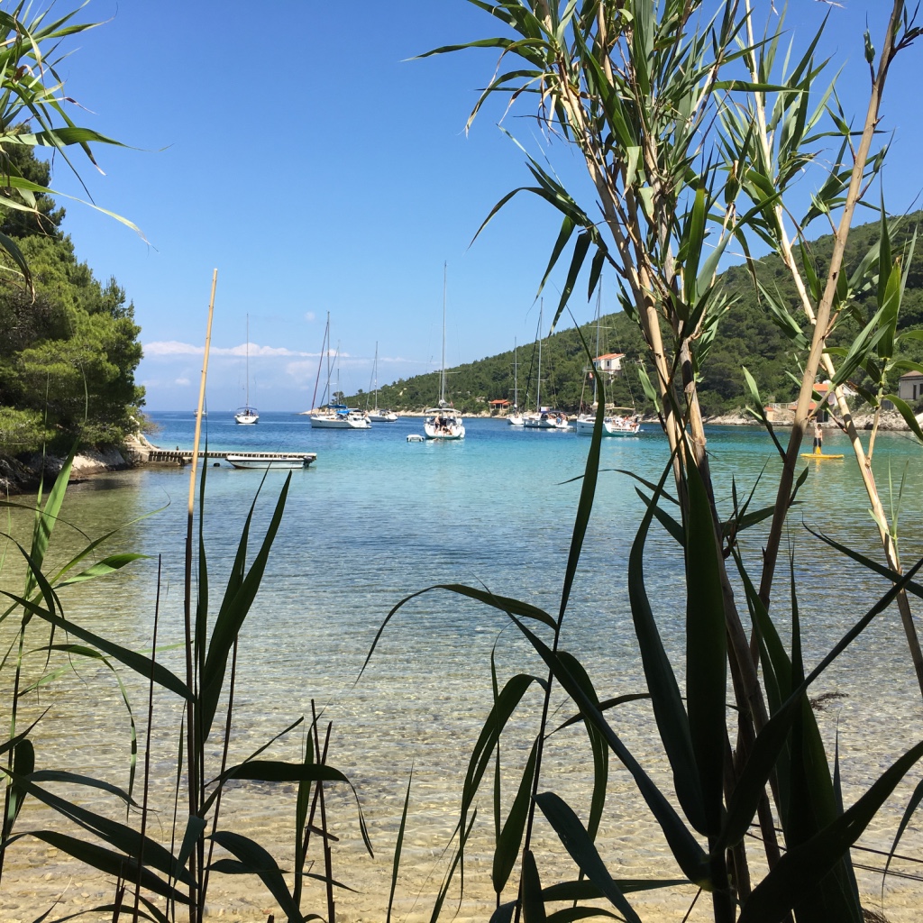 thumb_IMG_1842_1024