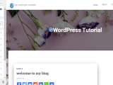 How To Use Wordpress Theme Customizer Ltheme