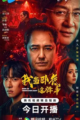 我当卧底这件事-雷霆影视