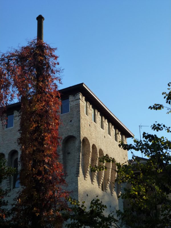 Torre con rampicante