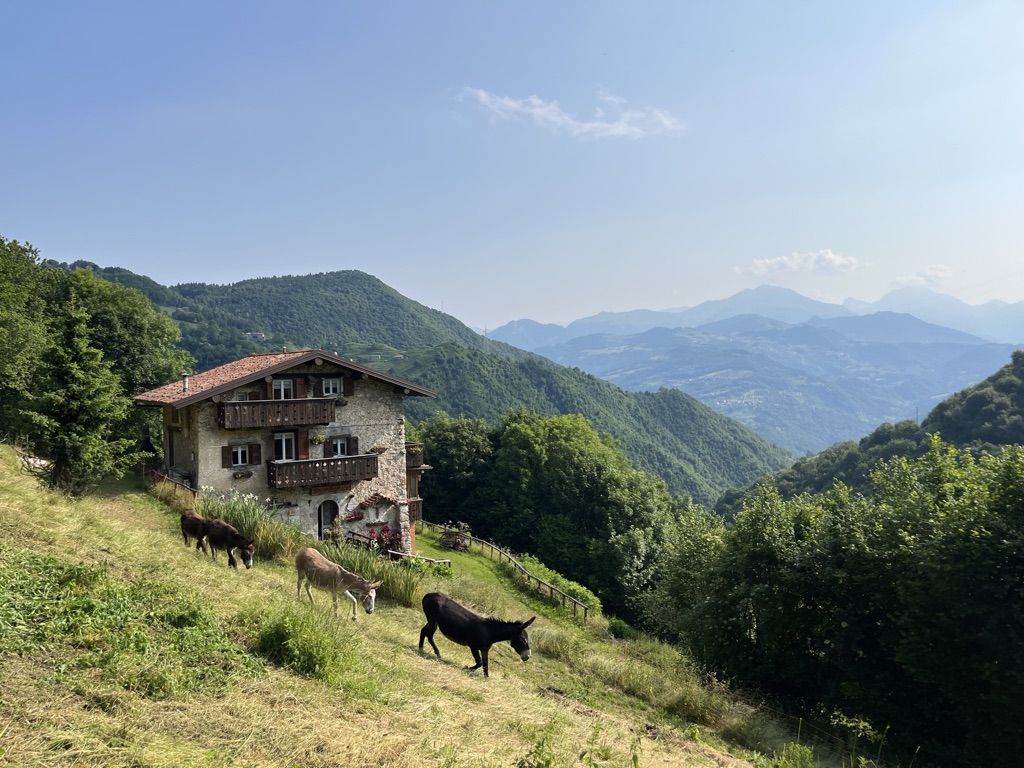 Immagine tratta da https://cadeltocio.it/