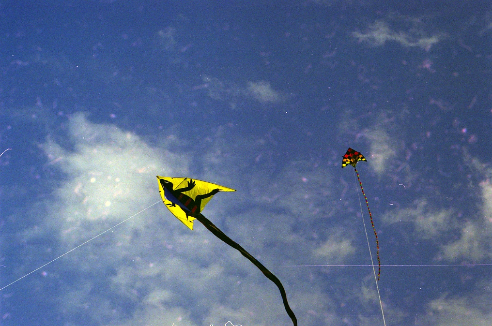 kite014 copy
