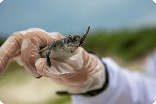 근육 회복 식품으로 피로를 줄이는 최적 방법은