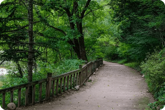 글루텐프리 식단표 나에게 꼭 필요할까