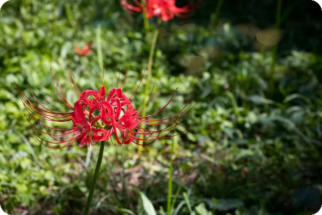 벤치프레스 무게 설정 어떻게 하는게 정답일까