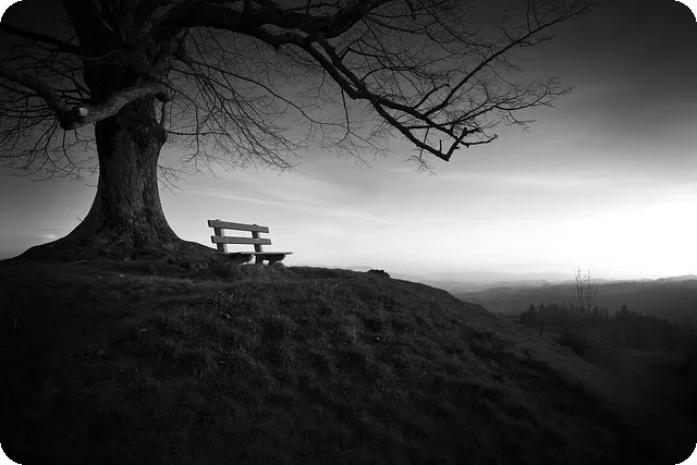 벤치프레스 무게 설정 어떻게 하는게 정답일까