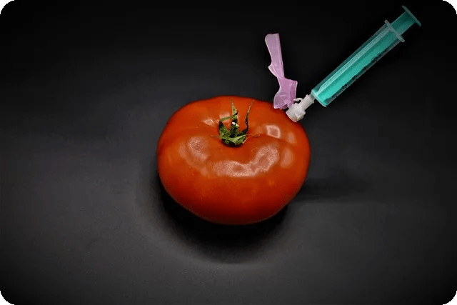 triglyceride 수치 관리로 건강 지키기