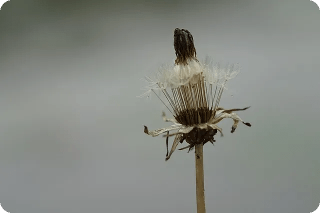 건강한 간식 만들기 아이와 함께할 때