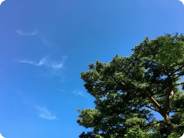 건강한 간식 추천으로 삶의 질 높이기