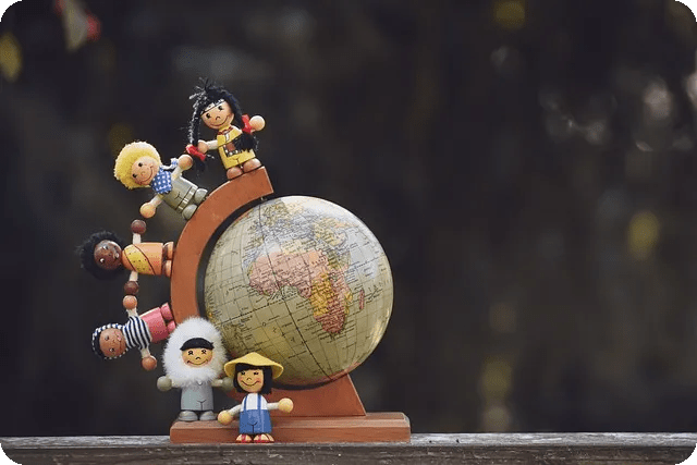 루핀 씨앗으로 건강한 빵 만들기 궁금하신가요