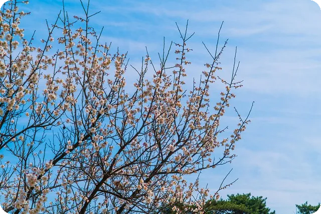 맨발 걷기로 치유한 건강 혁명