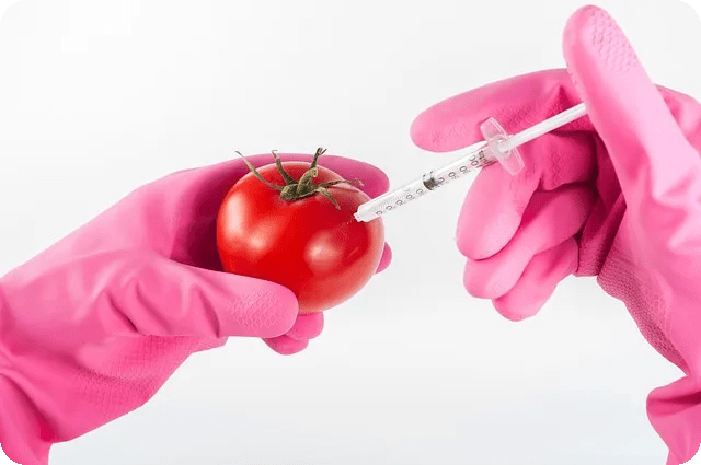 GMO와 비GMO 식품 영양가 차이는?