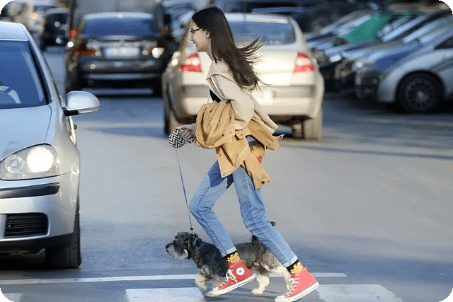 운동화 선택과 스타일링 완벽 가이드