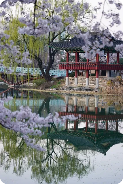 독일 요리의 매력과 특성 탐구