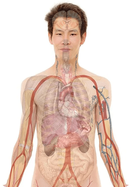 체중감량 프로그램 쉽게 시작하기