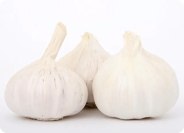 토마토 샌드위치 레시피로 맛있고 간편하게