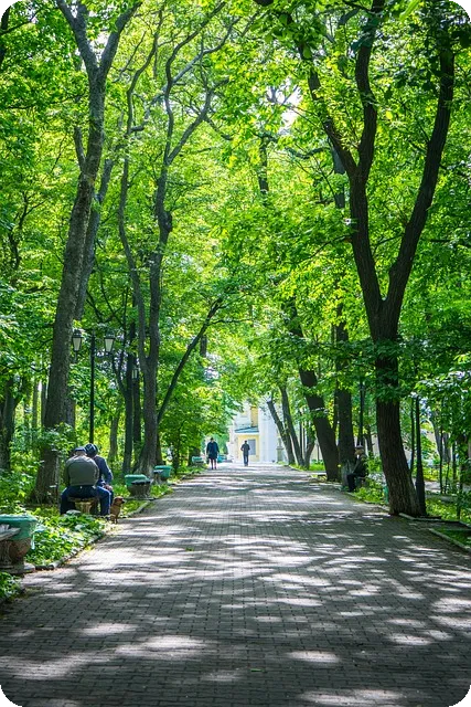 휴식과 수분이 감기 회복의 열쇠일까
