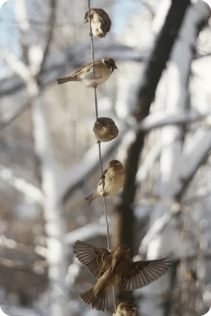 근육이완운동으로 스트레스 해소하는 법