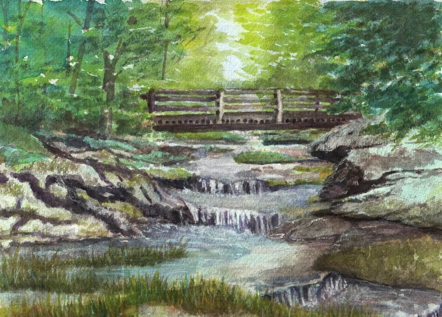 cascades under a wood bridge