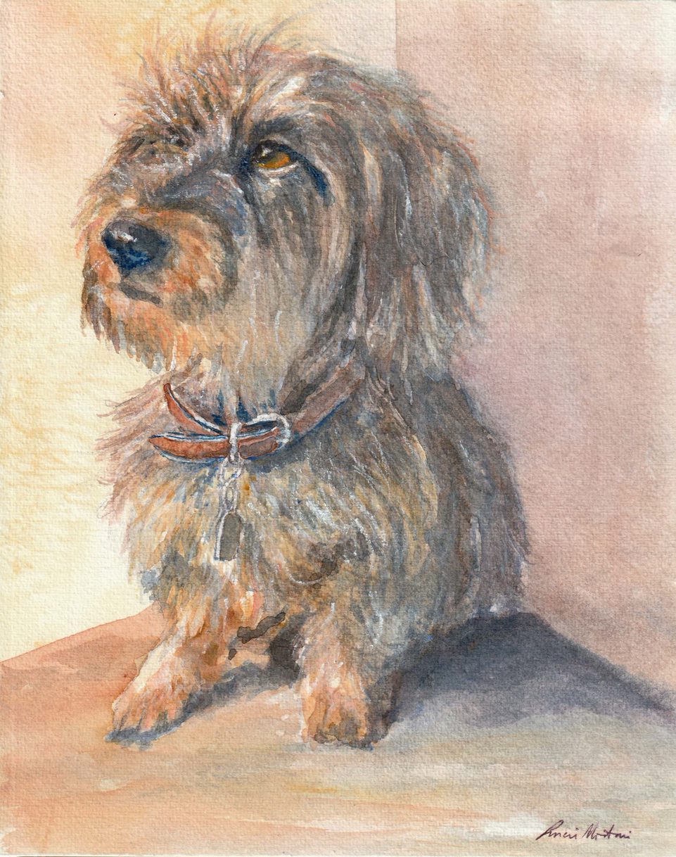 Terrier