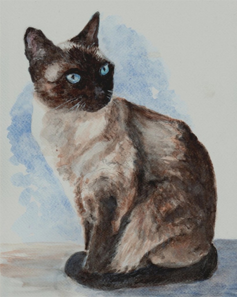 Siamese Cat