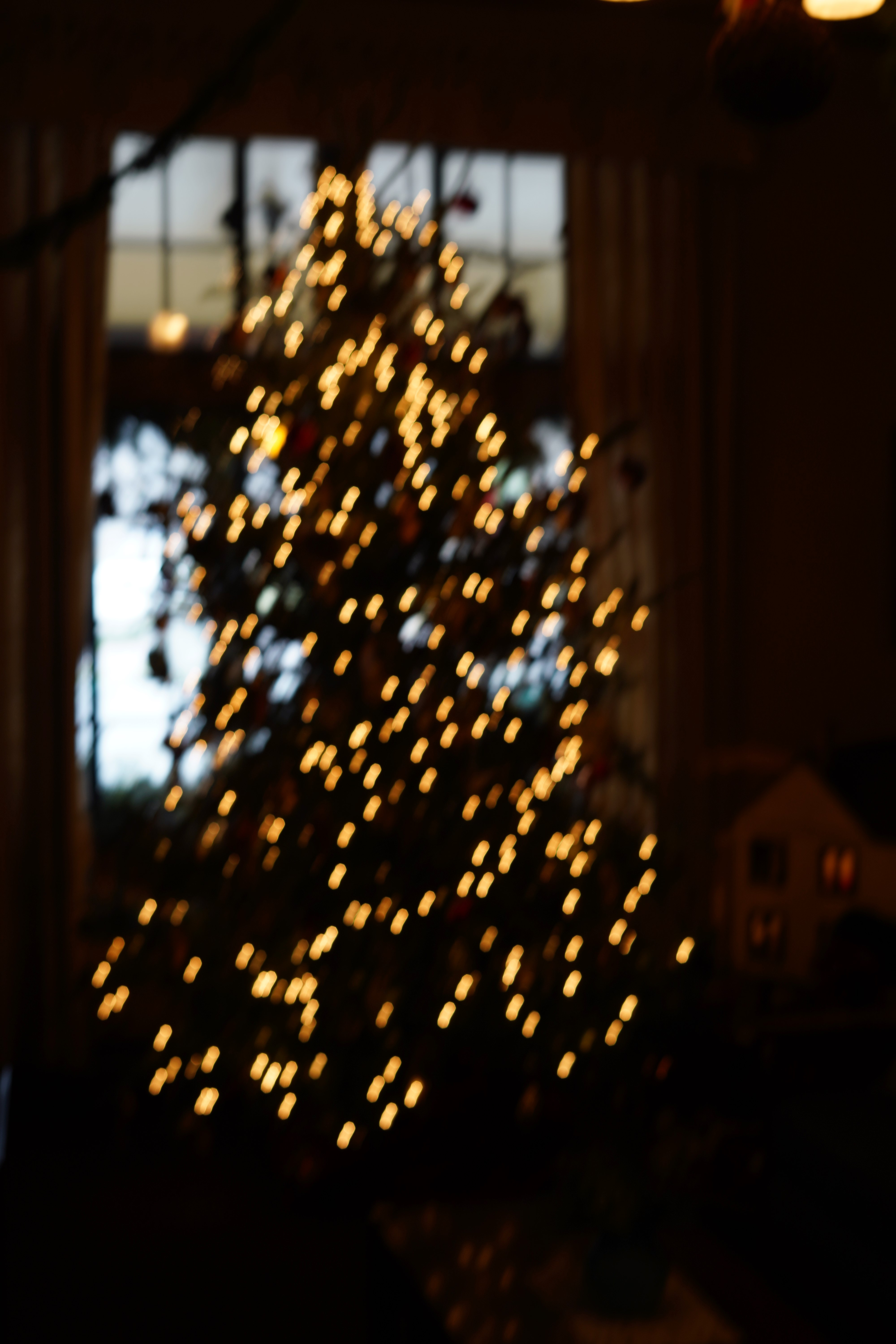 DSC03463s