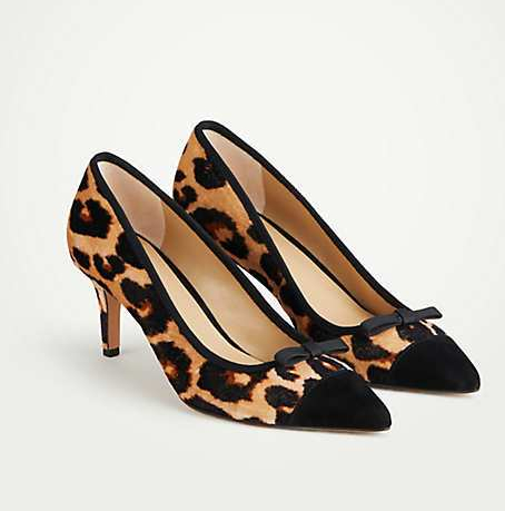 leopard