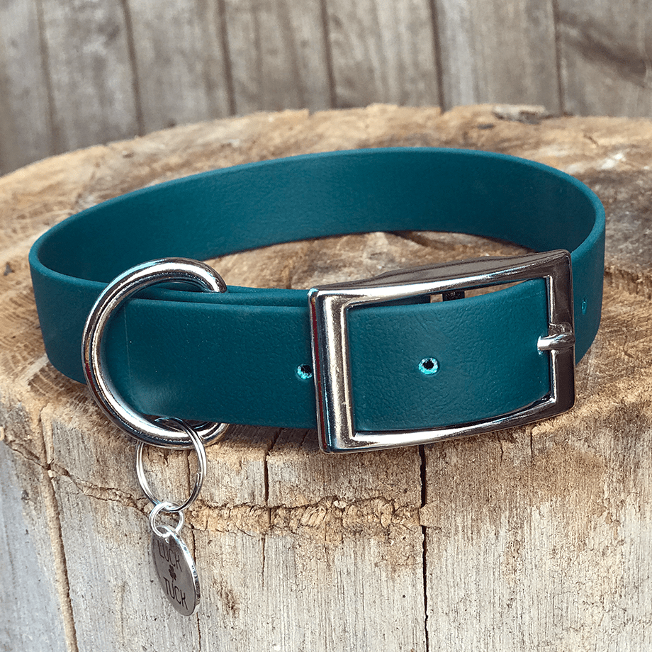 forest green dog collar