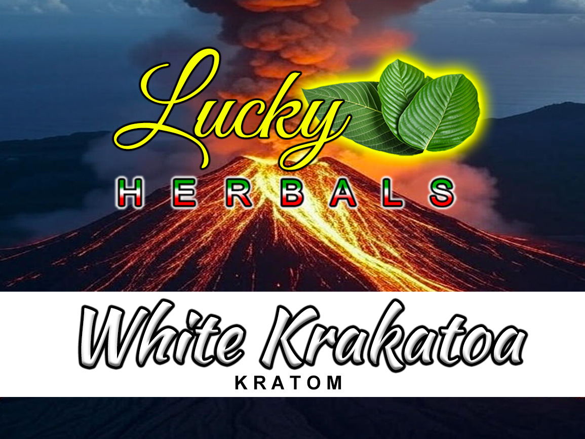 White Krakatoa (LOT 081325)