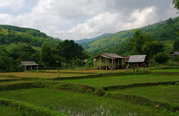 Farmer's fields, outside Hue, Vietnam.