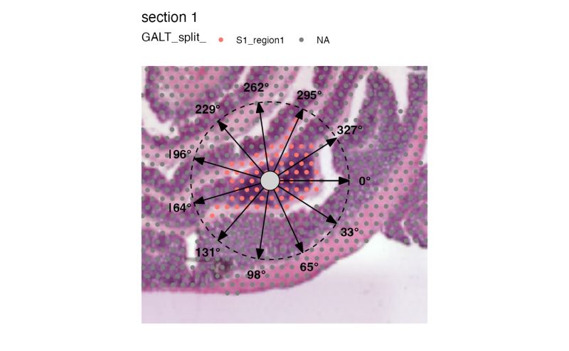 Plot H E Images Imageplot Semla - Gorgeous Abstract Wallpaper - High Resolution