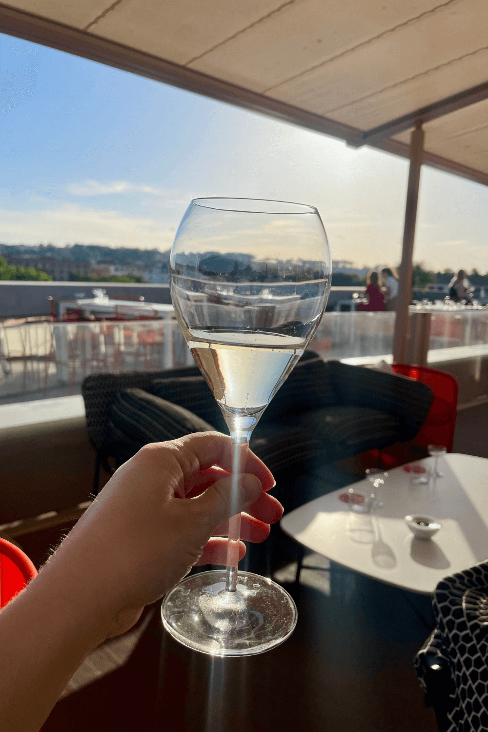Wine at Rhinoceros Rooftop Rome