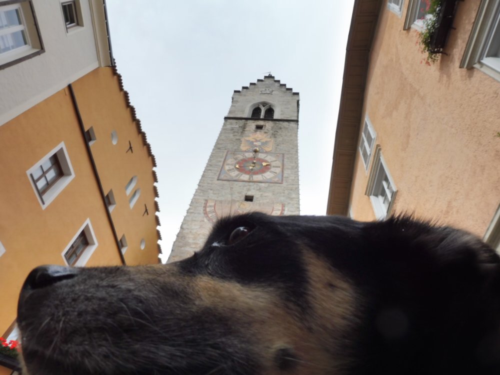 wp-image--1019727526.