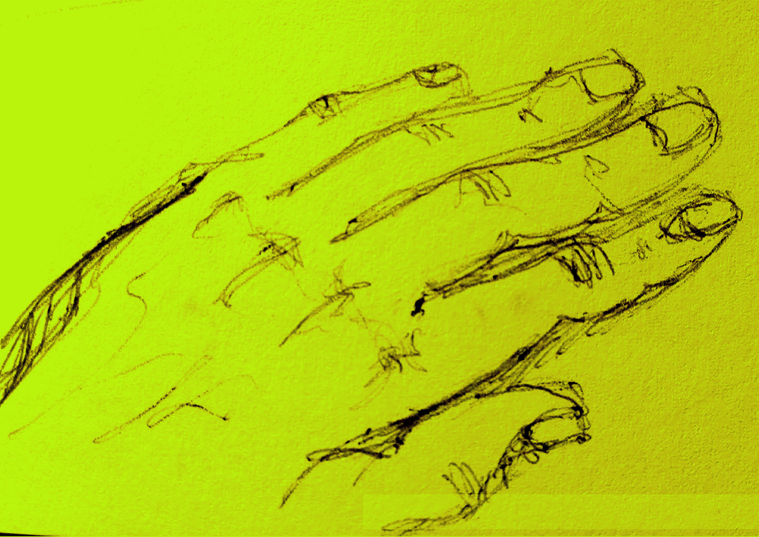 sketch of a hand dibujo a mano esboço de mão