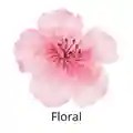 Floral