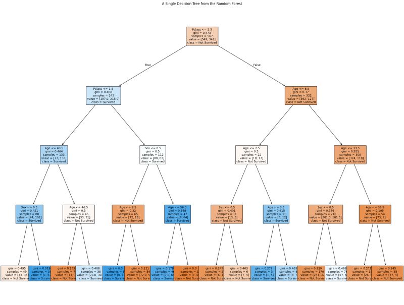 Github Aparnakholia Titanic Random Forest - Premium Landscape Picture Gallery - 8K