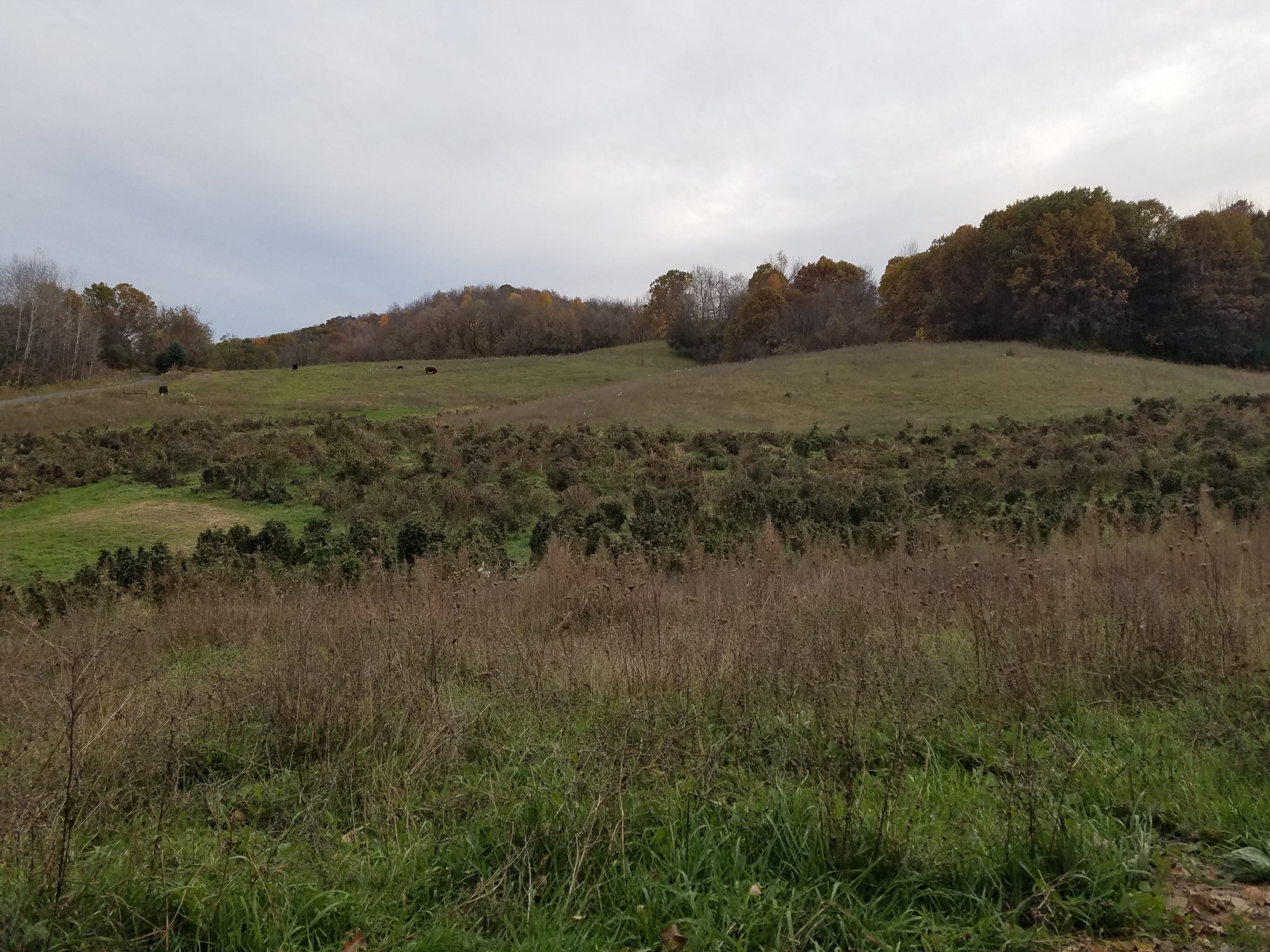 20191026_162946