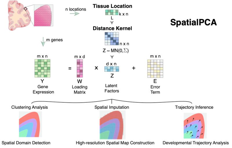 Spatialpca - Geometric Photos - Artistic Mobile Collection