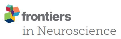 Resources Luminous Mind
