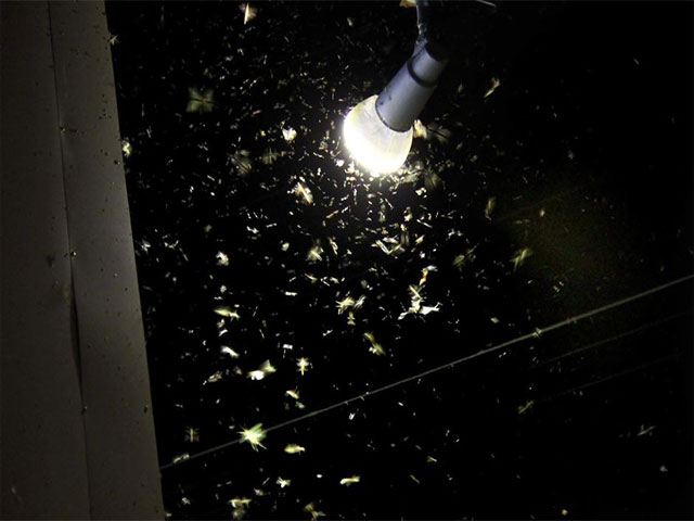 The things that you will need for the project are as followed: Do LEDs Attract Insects? - Lumitex LED Lighting