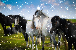 lunapic optimize editor effect tool example