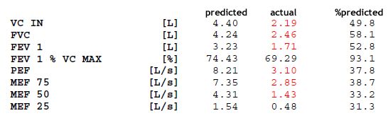 Basics Lungfunction Net - Premium Colorful Texture Gallery - Mobile